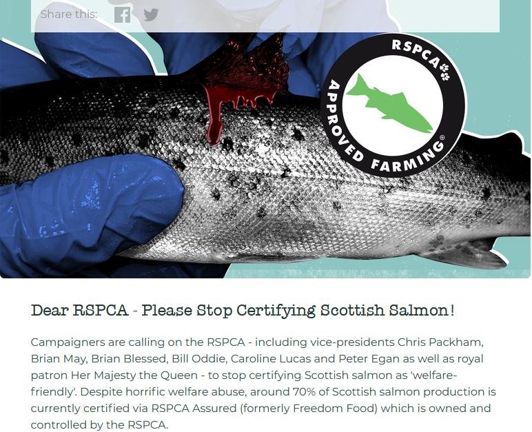 Coronavirus blog May 2020 #5 Coronavirus blog May 2020 #5