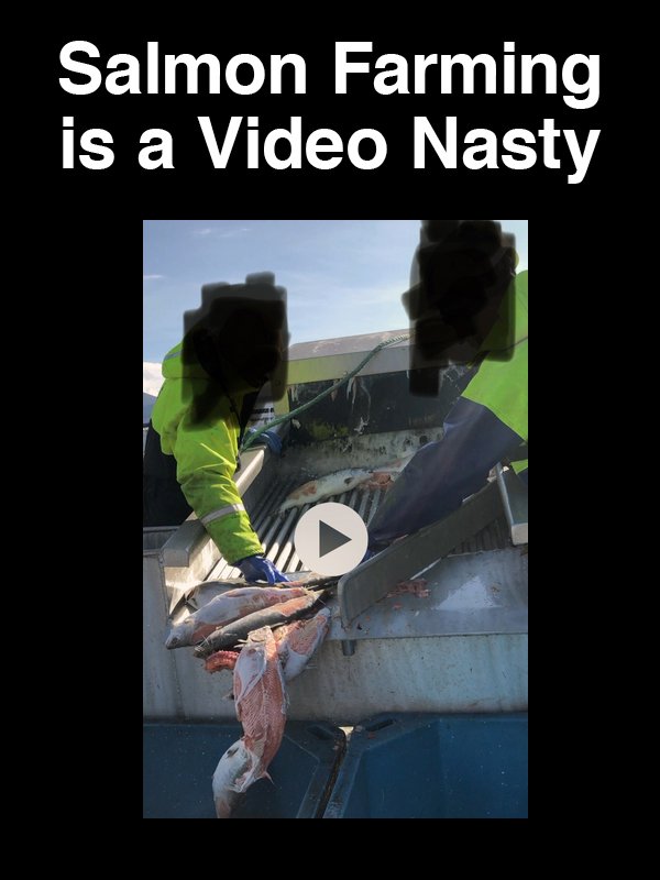 #18 Salmon Farming is a Video Nasty