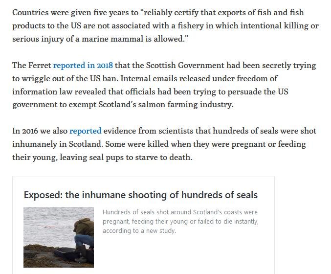 Ferret 2 June 2020 #5