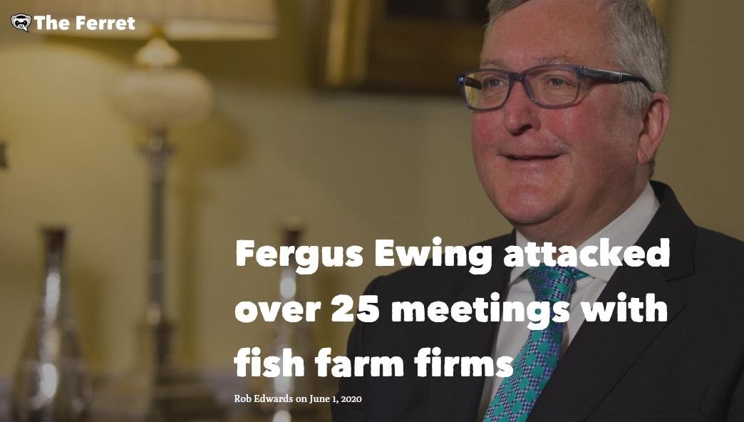 Fergus Ferret 1 June 2020 #1