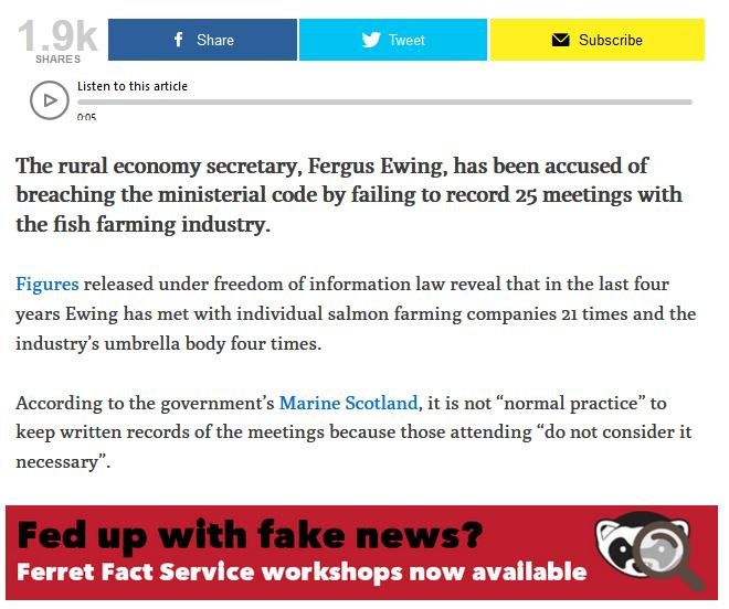 Fergus Ferret 1 June 2020 #2