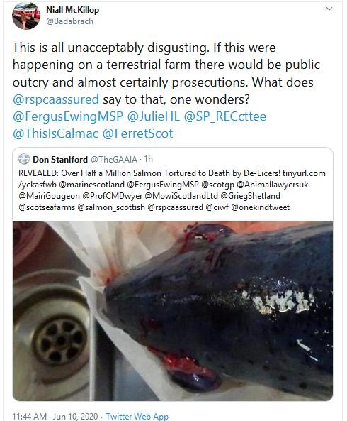 PR Deaths due to De-licers 10 June 2020 Tweet #2 Niall PR Deaths due to De-licers 10 June 2020 Tweet #2 Niall