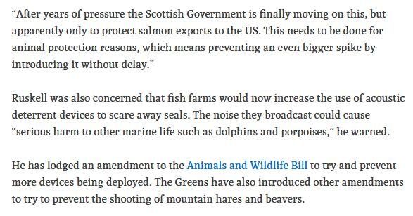 Ferret 11 June 2020 #5