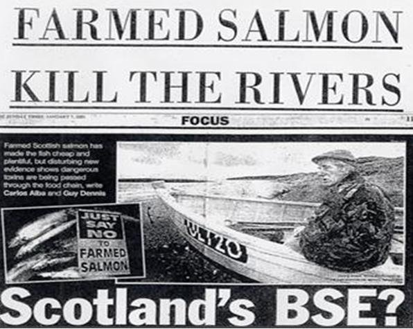 Farmed Salmon Kill the wild rivers Farmed Salmon Kill the wild rivers