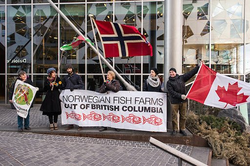 Norwegian fish farms go home