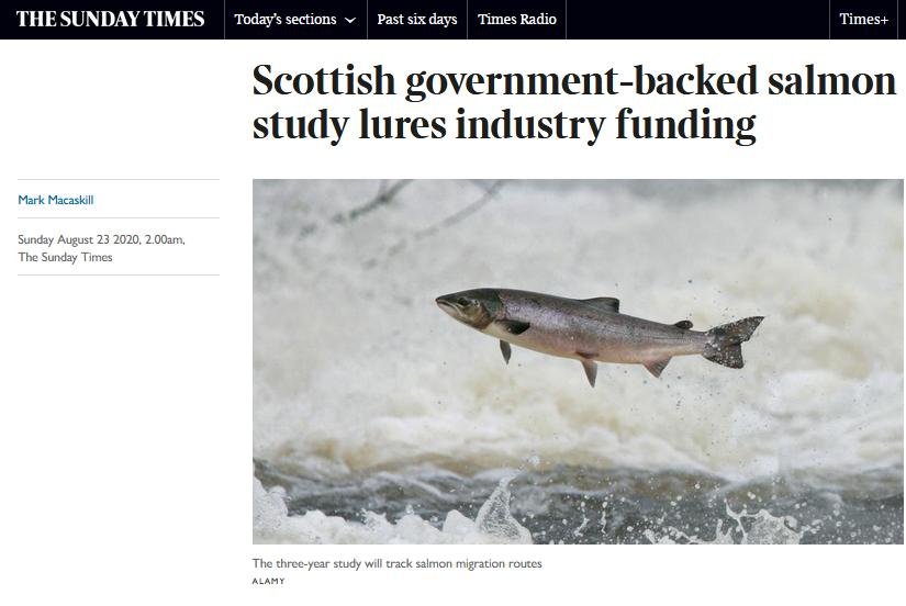 Sunday Times AST SSPO 23 Aug 2020 #1