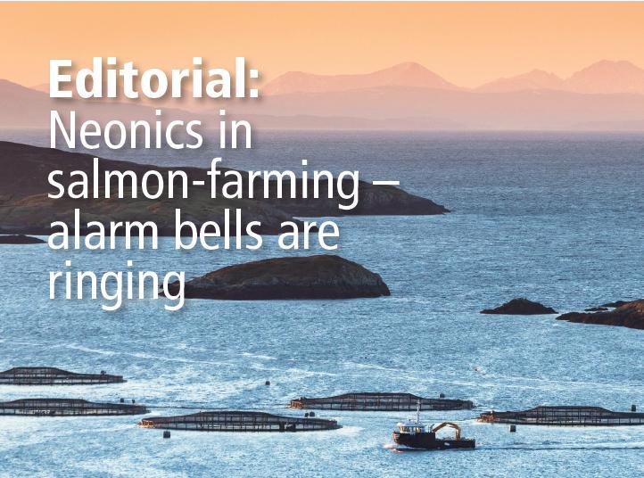 British Wildlife August 2020 #1