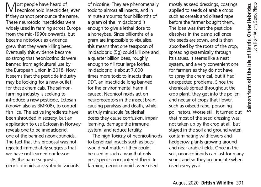 British Wildlife August 2020 #2