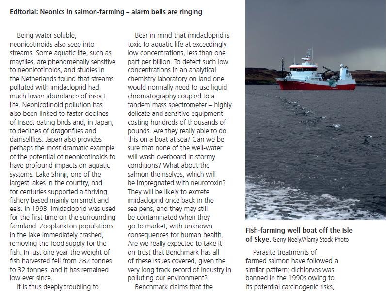 British Wildlife August 2020 #3