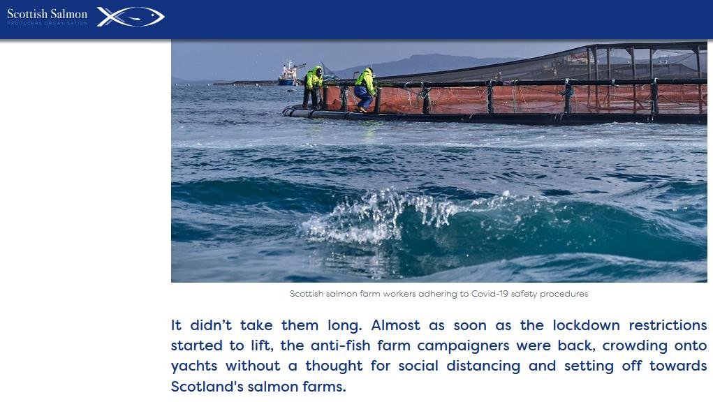 SSPO Irresponsible Activism article by Hamish 20 Aug 2020 #3