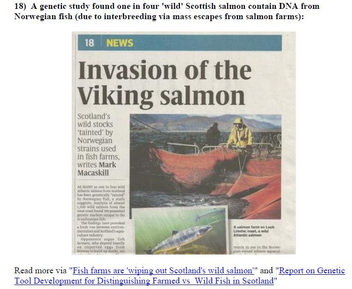 Blog Aug 2020 #38 Blog Aug 2020 #38