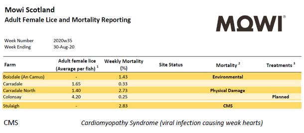 Lice & Mort reporting 30 Aug 2020