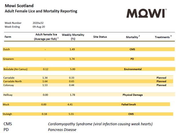 Lice & Mort reporting 9 Aug 2020