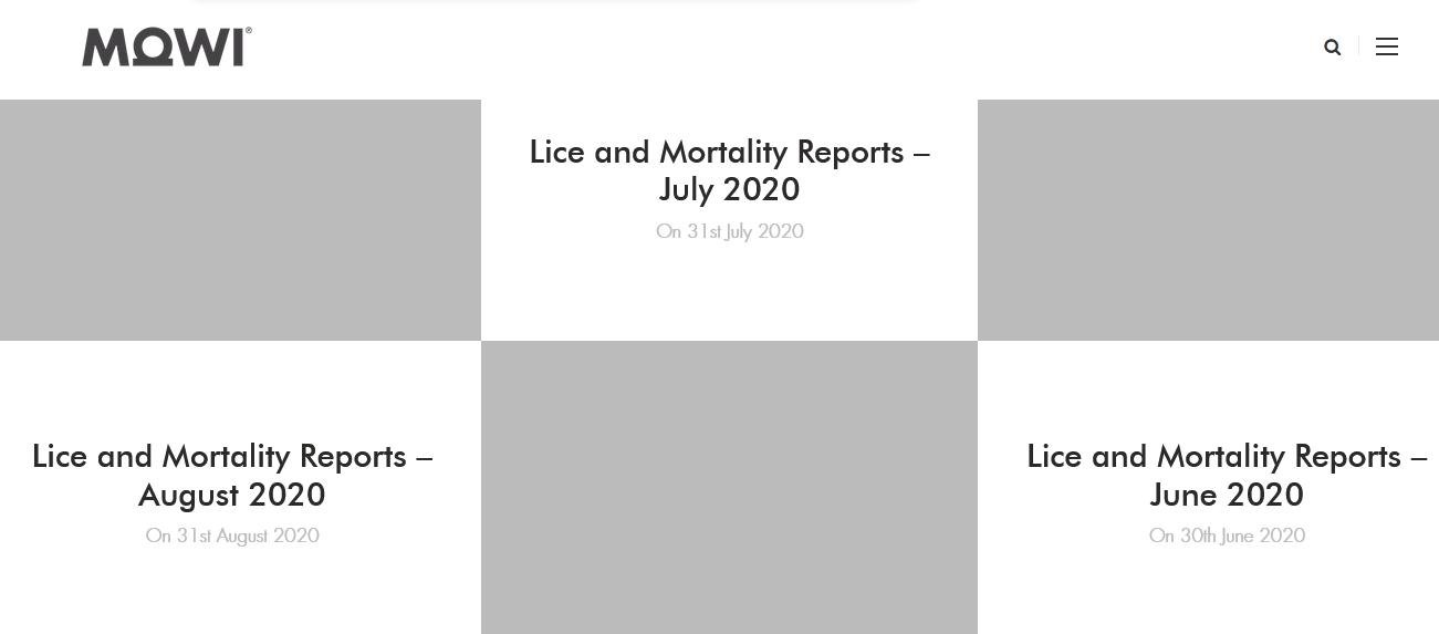 Lice & Mort reporting