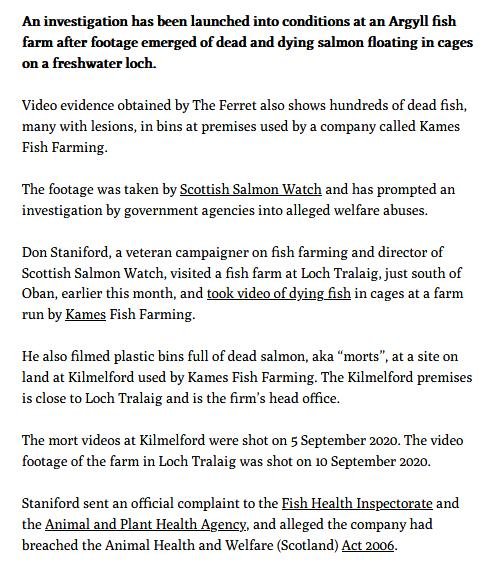 Ferret 24 Sept 2020 #2