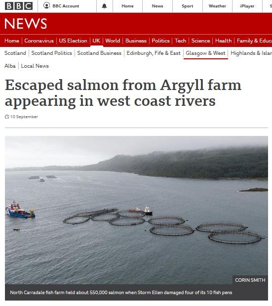 FMS blog Sept 2020 #21