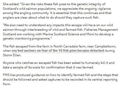 FMS blog Sept 2020 #23