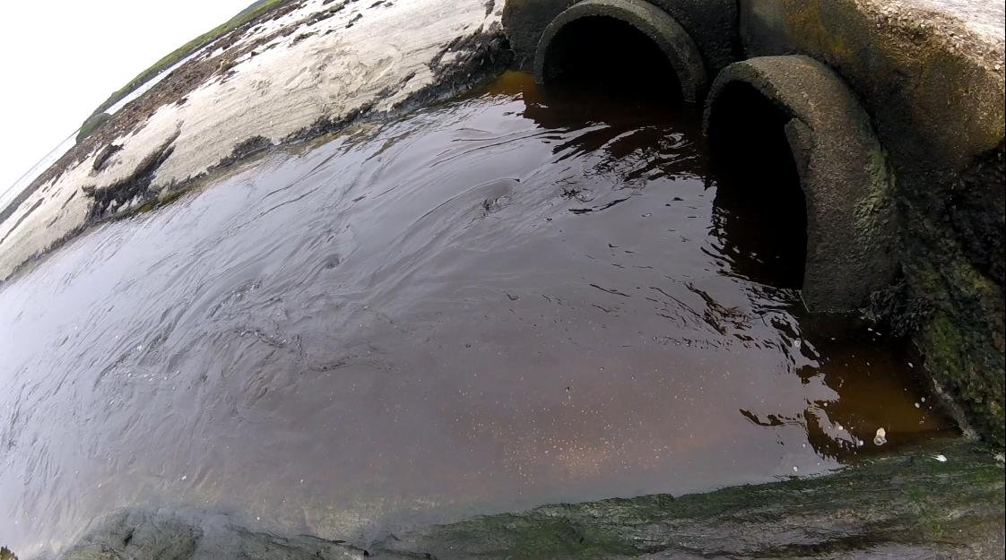 Effluent #9 pellets in water Effluent #9 pellets in water