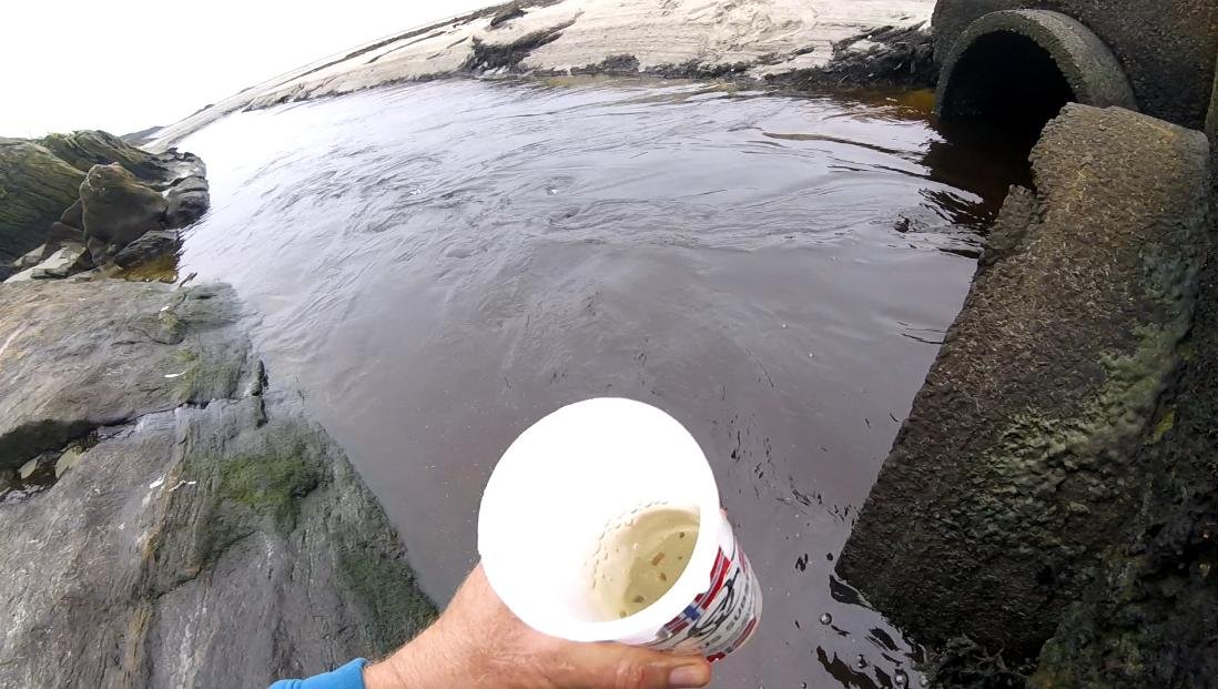 Effluent #11 pellets in sample with Norwegian flag Effluent #11 pellets in sample with Norwegian flag