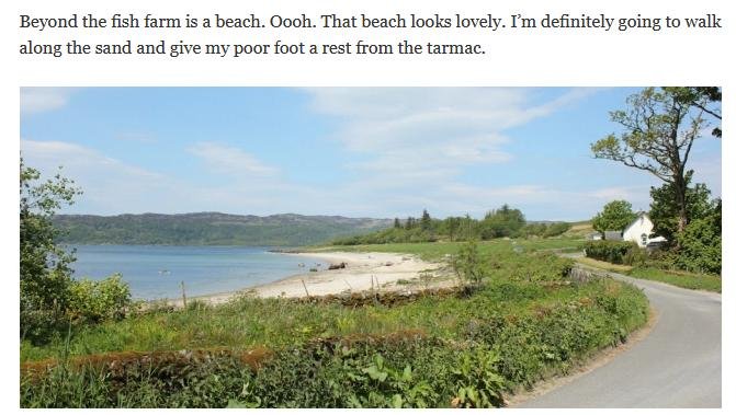 Walking blog #3 Walking blog #3