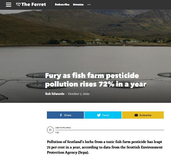 Ferret 7 Oct 2020 #1