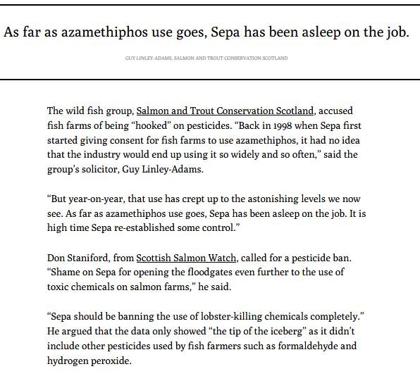 Ferret 7 Oct 2020 #6