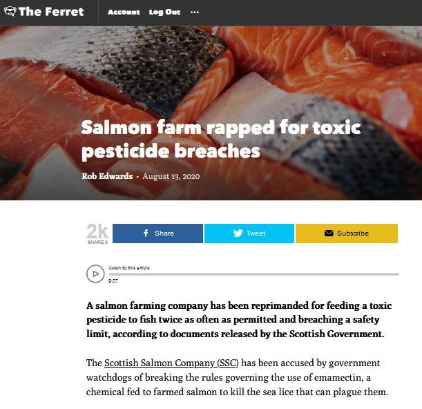 Ferret 13 Aug 2020 #1