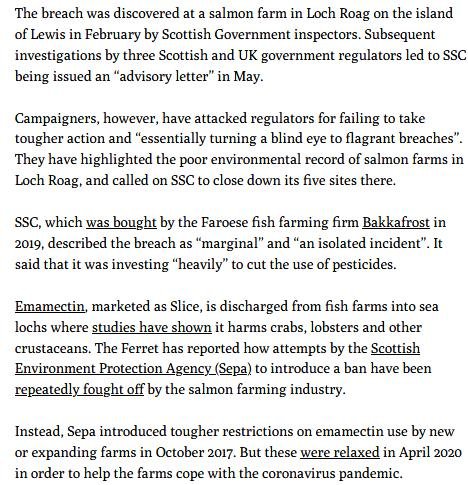 Ferret 13 Aug 2020 #2