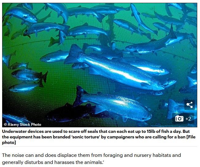 Mail Online 25 Oct 2020 #2 Mail Online 25 Oct 2020 #2