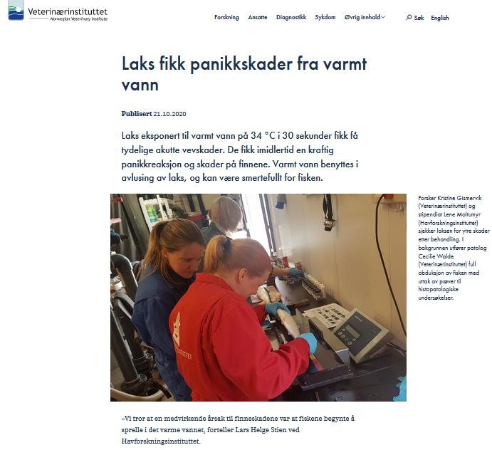 Undercurrent News Thermolicer 27 Oct 2020  Vet Inst report #1