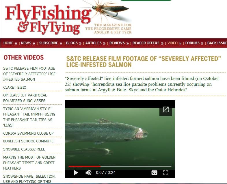 Blog Creran Corin video 31 Oct 2020 #2