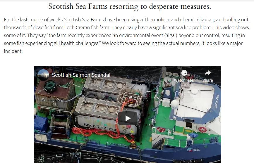 Blog Creran Corin video 31 Oct 2020 #8