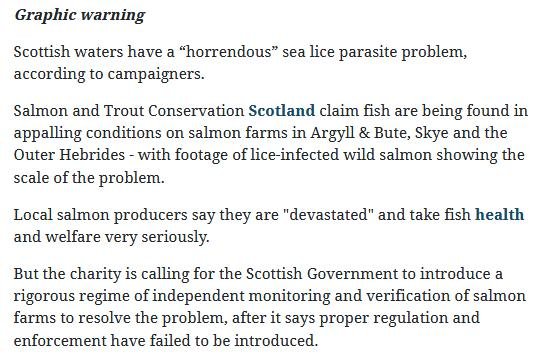 Herald 31 Oct 2020 #2 Herald 31 Oct 2020 #2