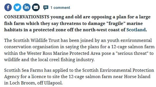 Herald 4 Nov 2020 #2