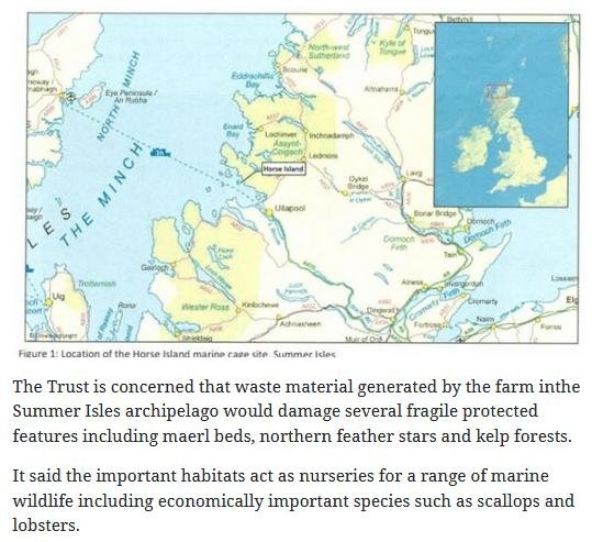 Herald 4 Nov 2020 #3