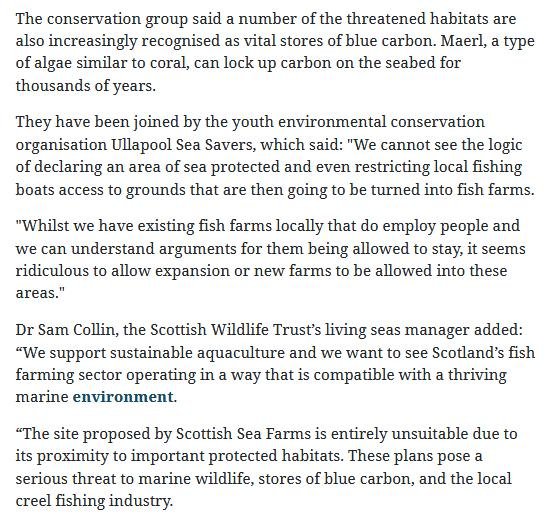 Herald 4 Nov 2020 #4