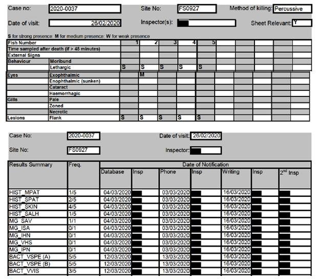 Kyles Vuia Feb 2020 #3