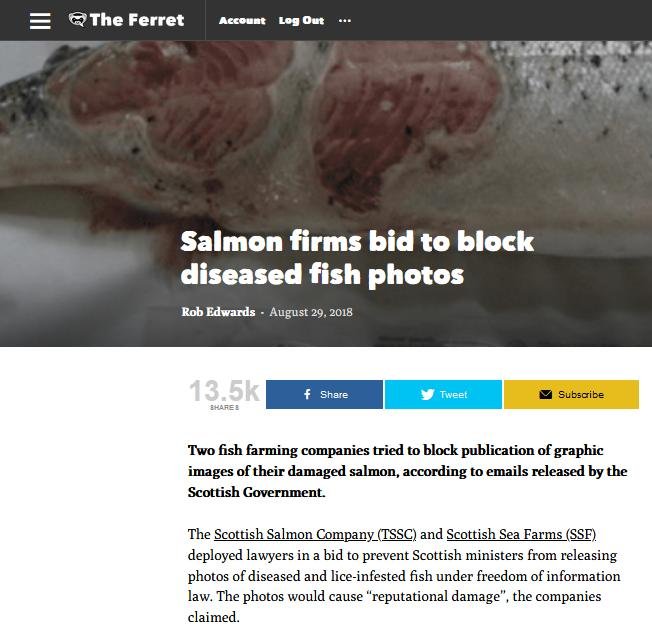 Lesley Rice blog 5 Nov 2020 #1