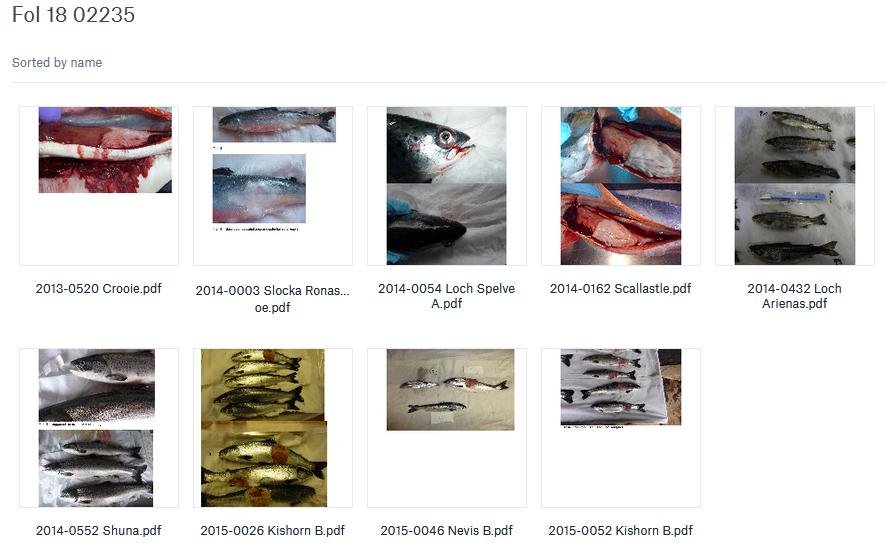 Lesley Rice blog 5 Nov 2020 #4