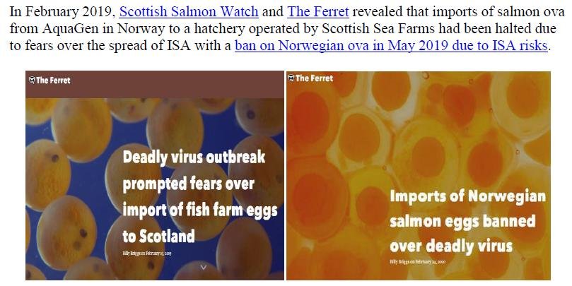 Lesley Rice blog 5 Nov 2020 #16