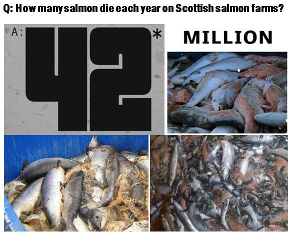 42 blog Tweet photo 42 million