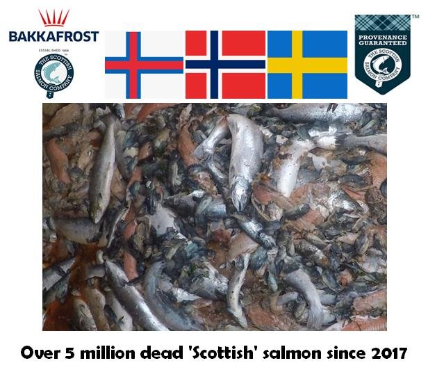 Nov 2020 blog Photo for Twitter