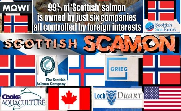 Blog Nov 2020 #9 new 99% collage Blog Nov 2020 #9 new 99% collage