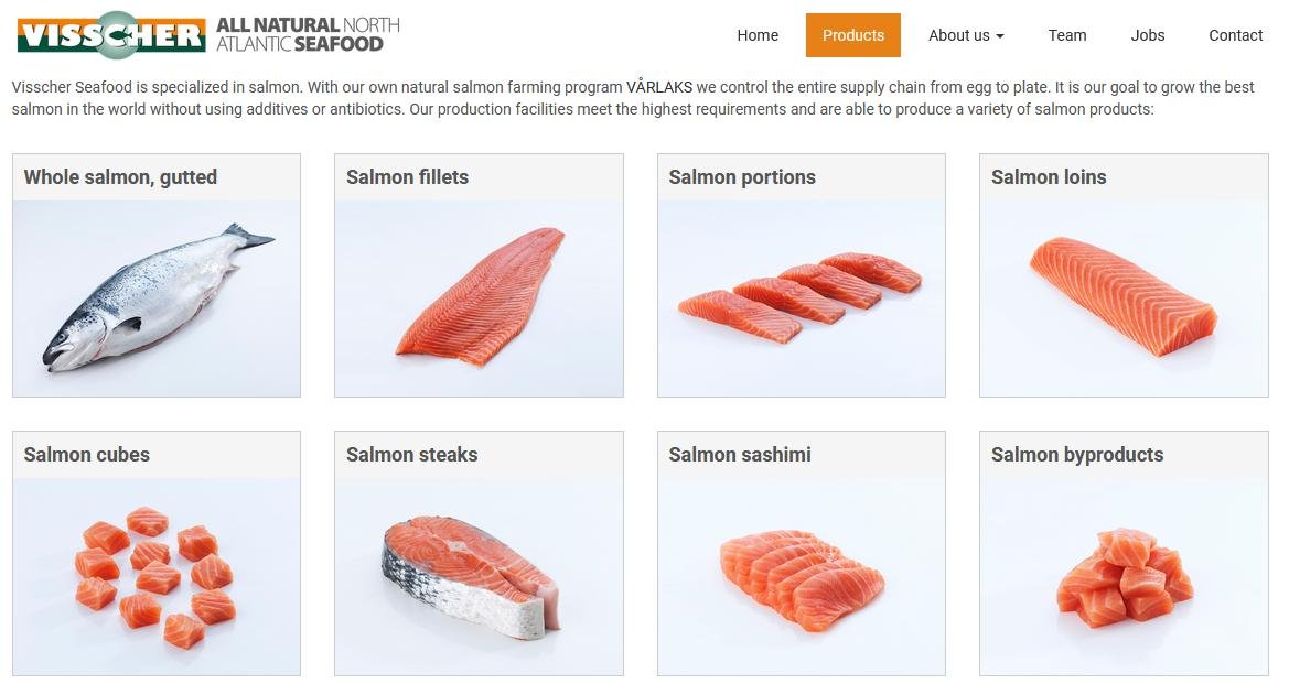 Visscher #4 Visscher #4