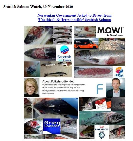 PR Norwegian Pension Fund Divestment 30 November 2020 #1