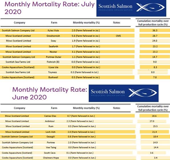 SSPO mort #4 July & June 2020 SSPO mort #4 July & June 2020