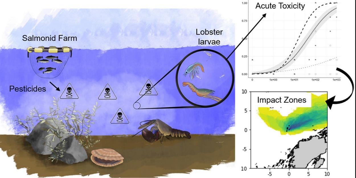 Sept 2020 data online #3 Delt graphic