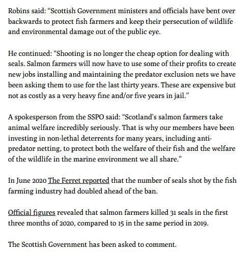 Ferret 2 Feb 2021 #4