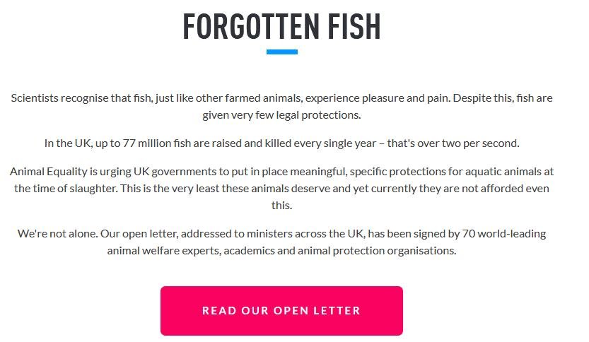 Animal Equality Feb 2021 #3