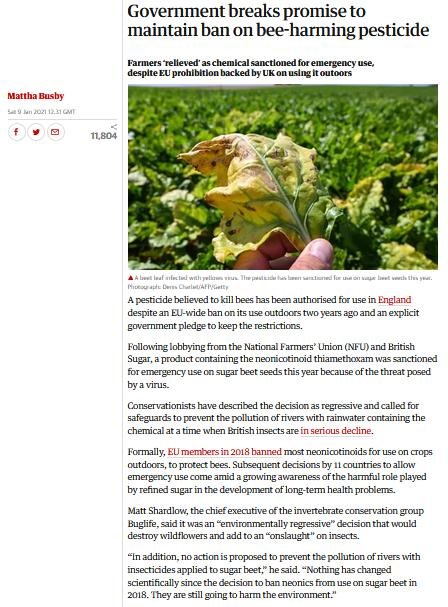 Blog Imidacloprid Feb 2021 #5